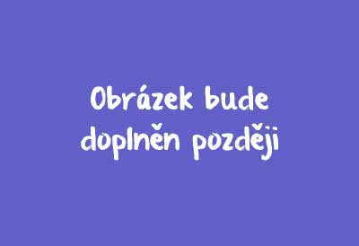 Zvolený produkt
